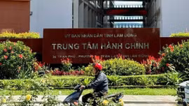 Sai sót thực hiện Nghị định 178: Lâm Đồng chỉ rõ trách nhiệm 3 nguyên lãnh đạo