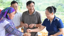 Sức sống từ những phong trào nông dân
