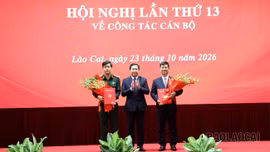Hội nghị lần thứ 13 Ban Chấp hành Đảng bộ tỉnh về công tác cán bộ