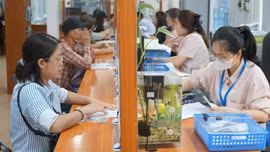 Bao nhiêu người thuộc diện chi sai chế độ theo Nghị định 178?