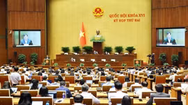 Ngày 19/10, Quốc hội tiếp tục thảo luận về các dự án luật