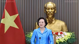 Phó Thủ tướng Phạm Thị Thanh Trà: Không lấy biên chế hiện có để hợp thức hóa vị trí việc làm