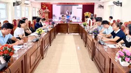 Hội nghị trực tuyến triển khai Luật số 05/2026/QH16 về sửa đổi, bổ sung một số điều của Luật Trợ giúp pháp lý
