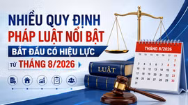 Nhiều quy định pháp luật nổi bật bắt đầu có hiệu lực từ tháng 8/2026