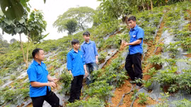 Khát vọng đổi thay nơi thượng nguồn sông Chảy