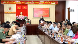 Hội nghị cung cấp thông tin, tuyên truyền và lấy ý kiến về các dự án luật do Bộ Công an chủ trì soạn thảo trình tại Kỳ họp thứ 2, Quốc hội khóa XVI