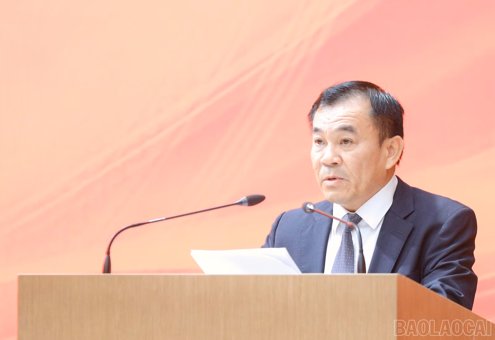 baolaocai-br_7j5a8878.jpg