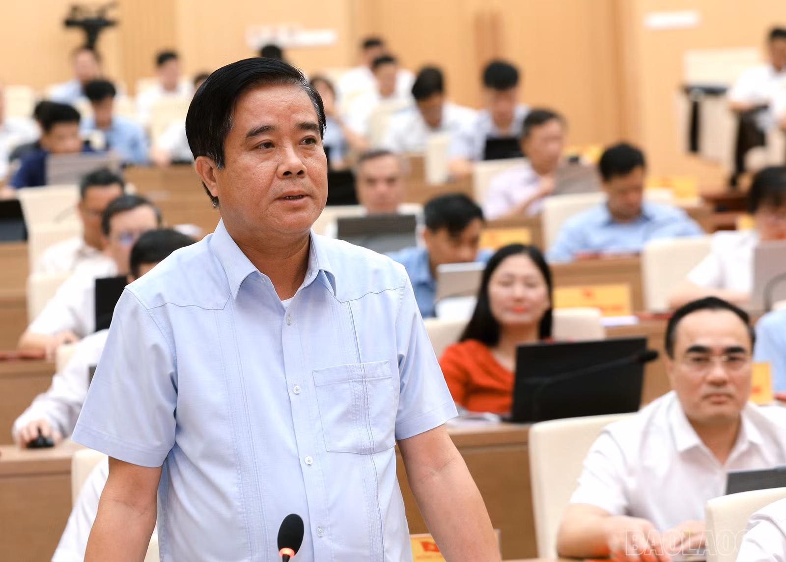 baolaocai-br_7j5a4765.jpg