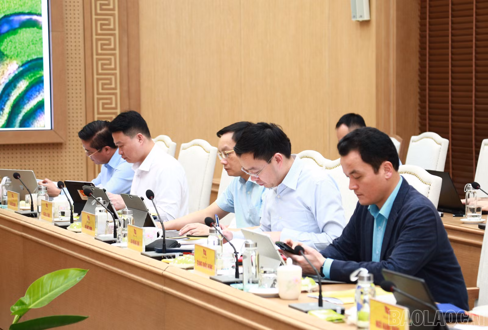 baolaocai-br_7j5a1015.jpg