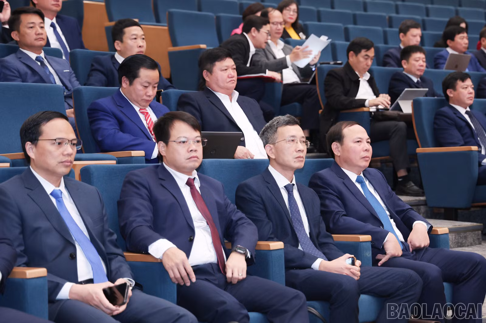 baolaocai-br_img-2515.jpg