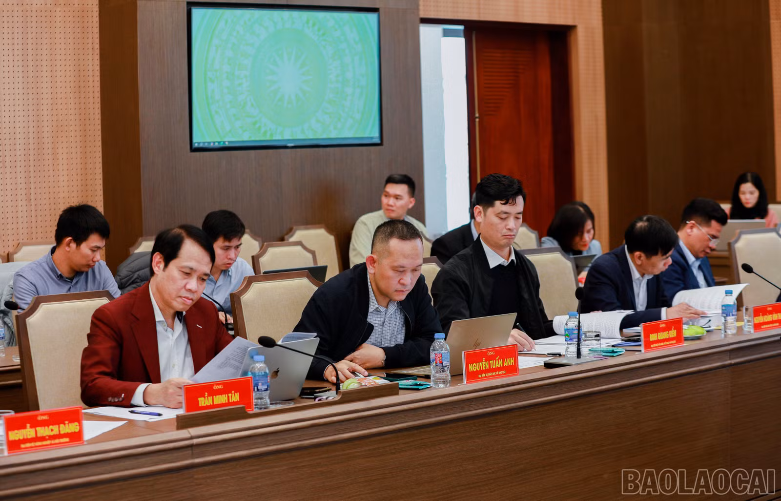 baolaocai-br_7j5a4489.jpg