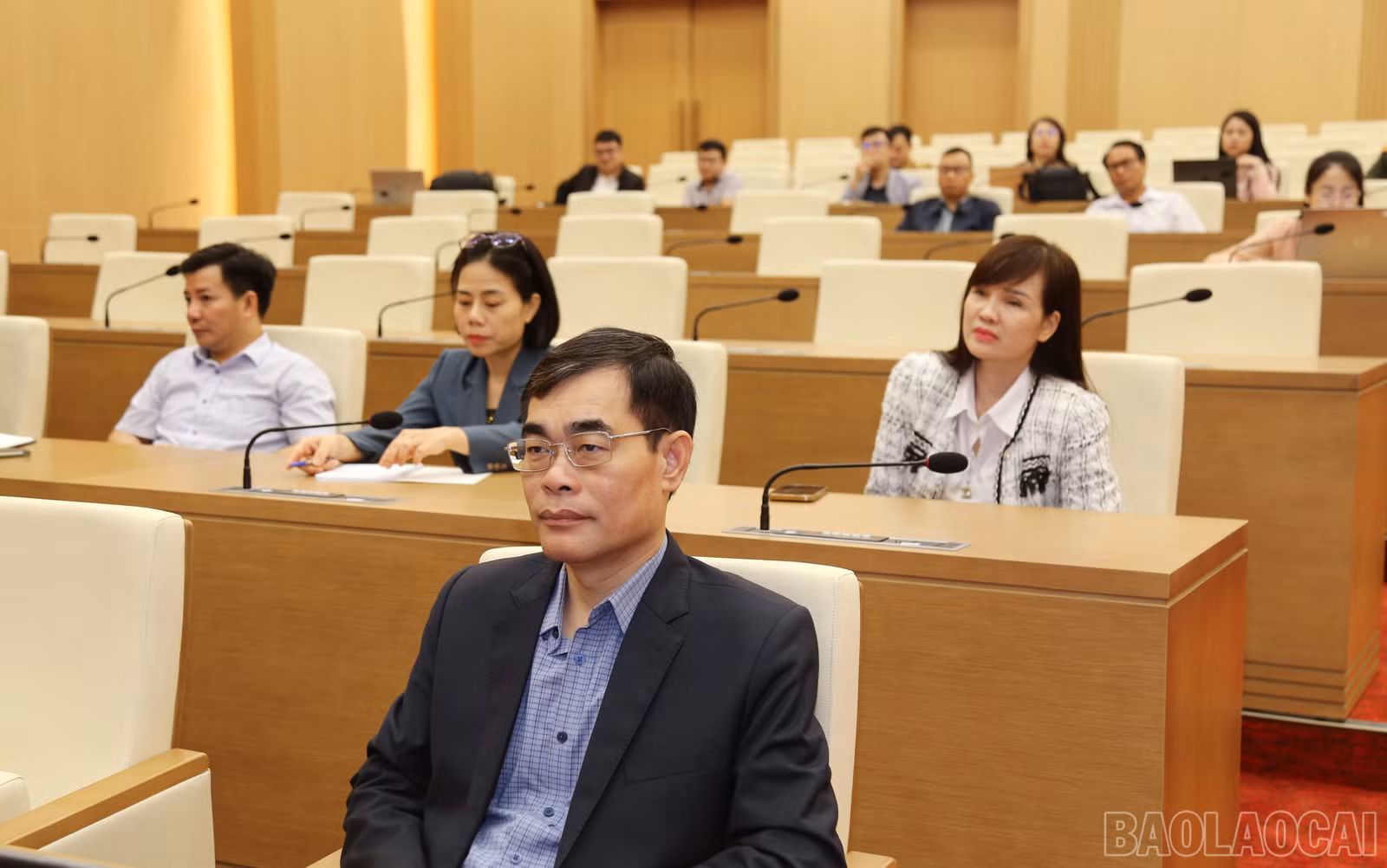 baolaocai-br_img-0410-479.jpg