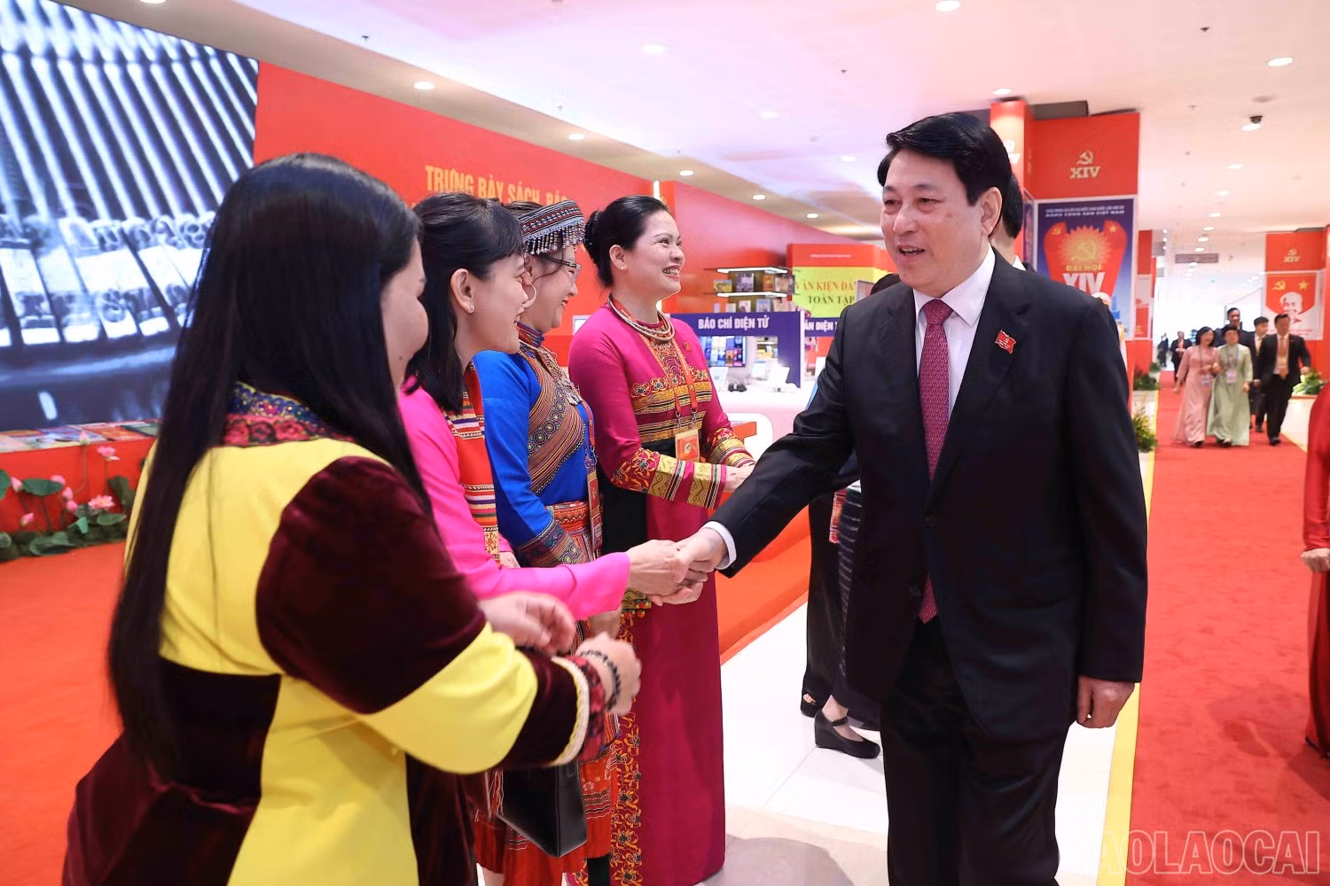baolaocai-br_image-4.jpg