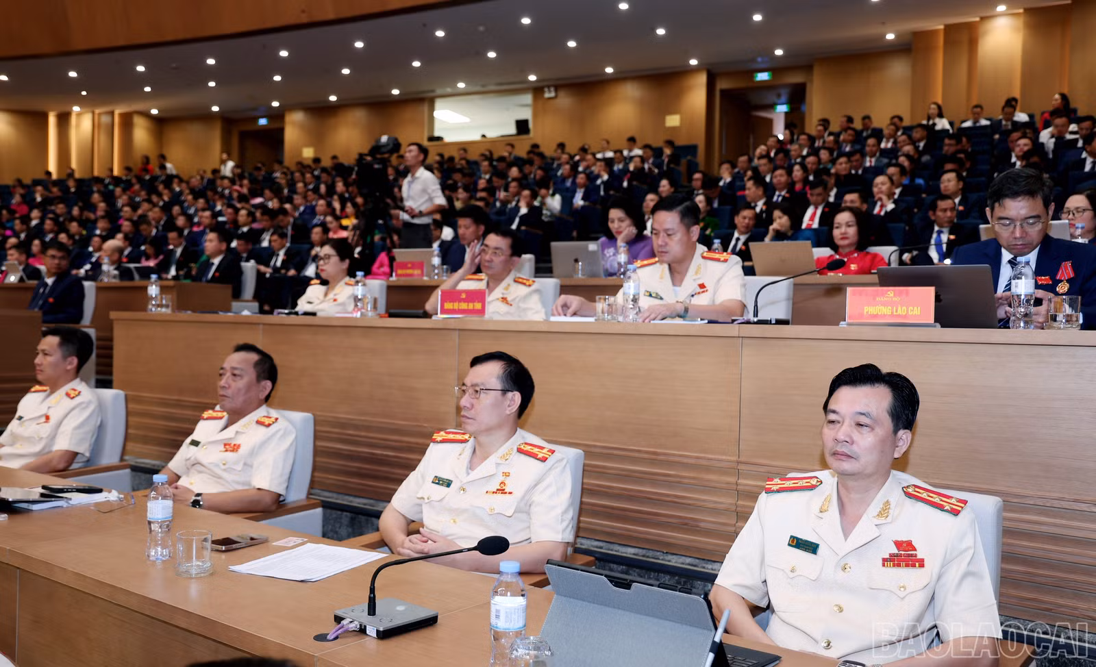 baolaocai-br_img-1732.jpg