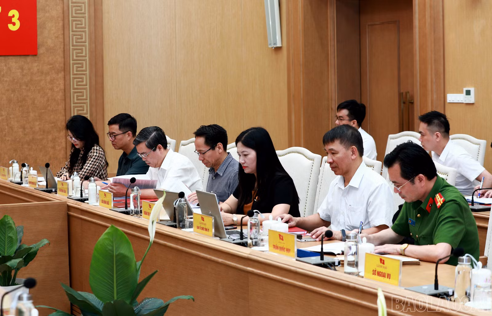 baolaocai-br_7j5a3891.jpg