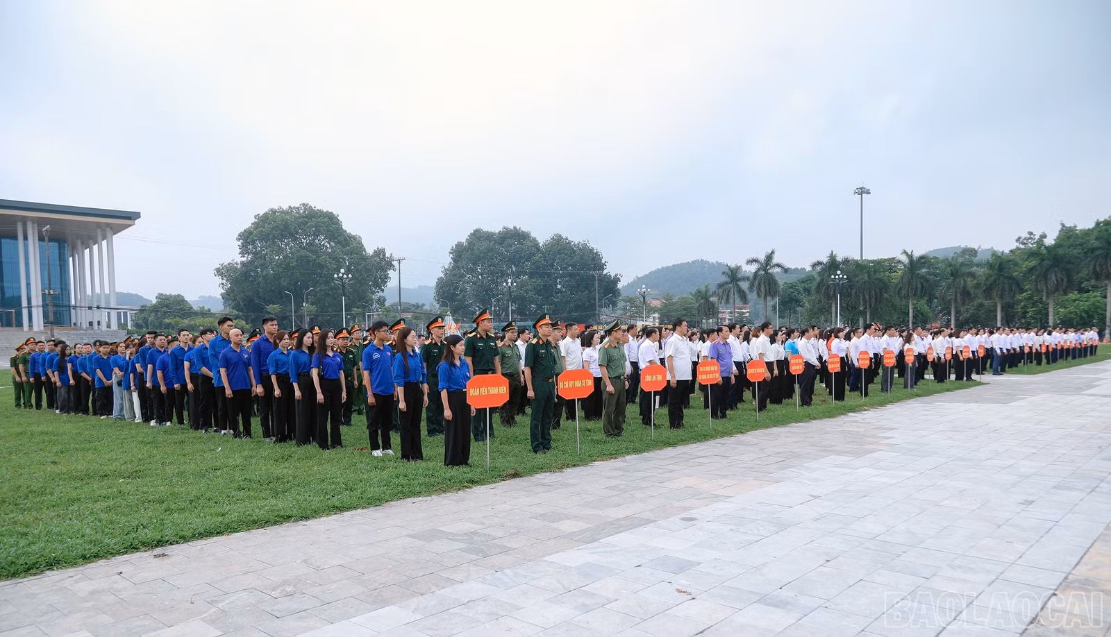 baolaocai-br_7j5a1618.jpg