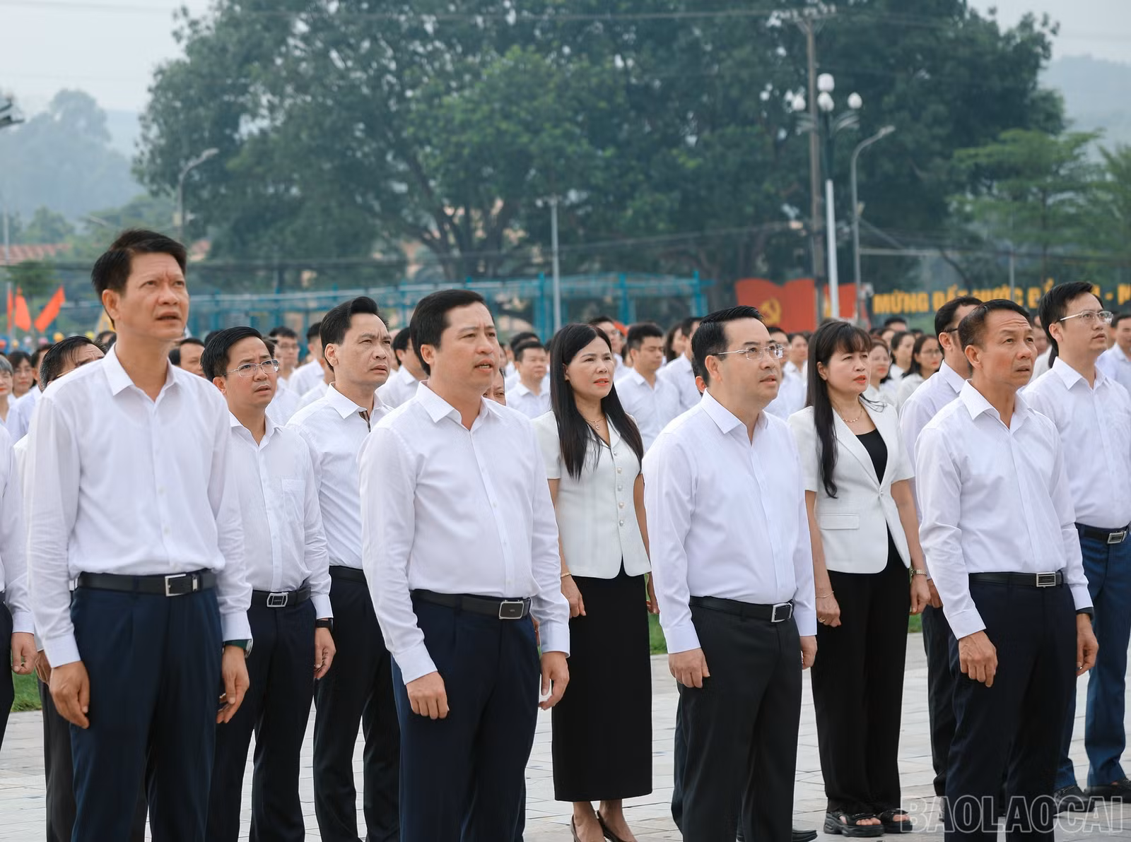 baolaocai-br_7j5a1685.jpg