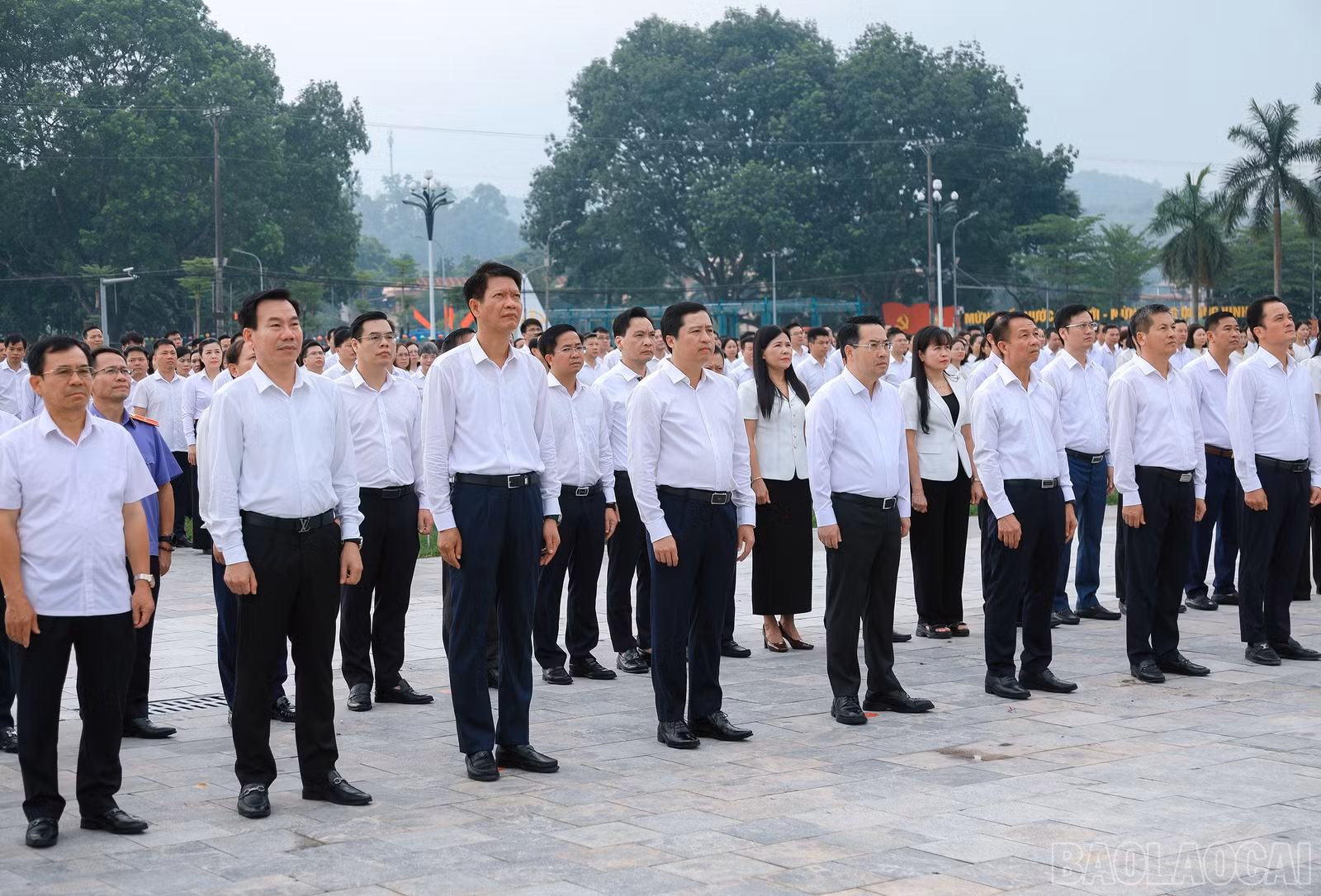 baolaocai-br_7j5a1672.jpg