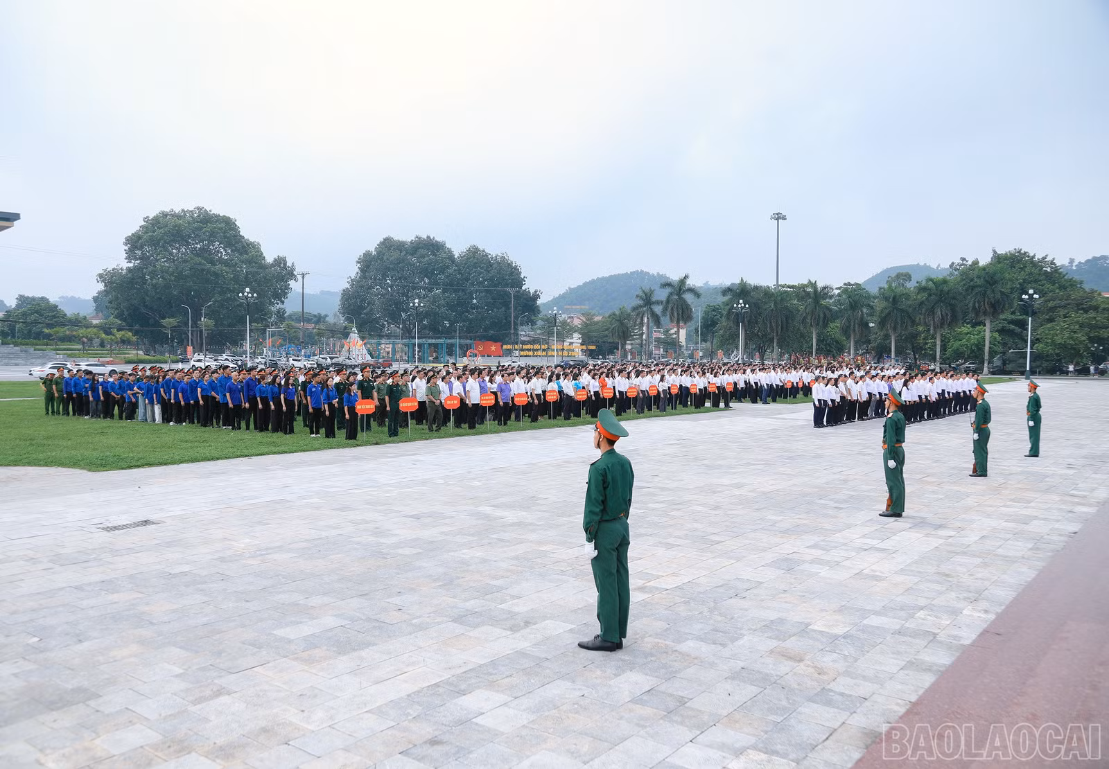 baolaocai-br_7j5a1617.jpg