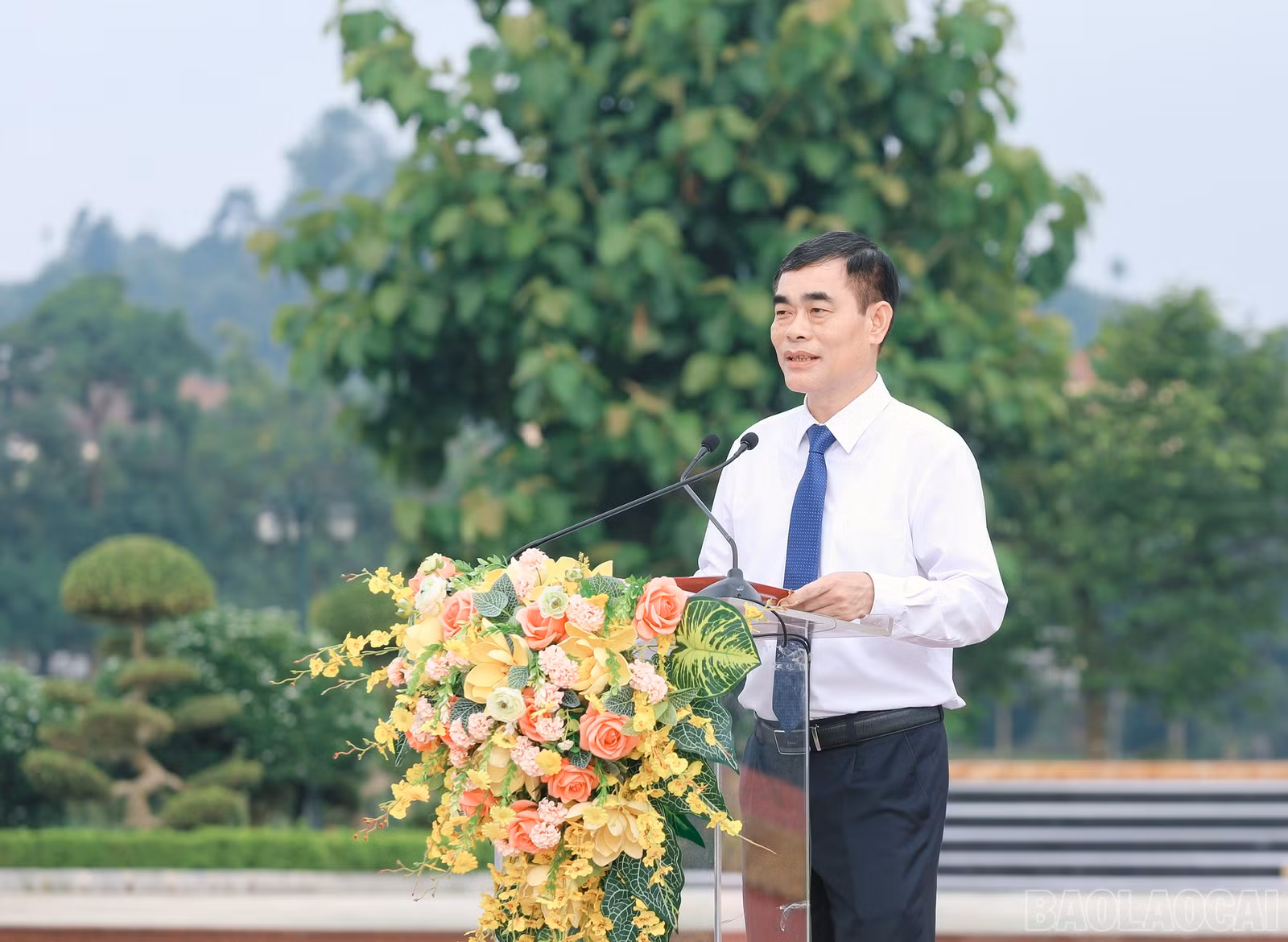 baolaocai-br_7j5a1734.jpg
