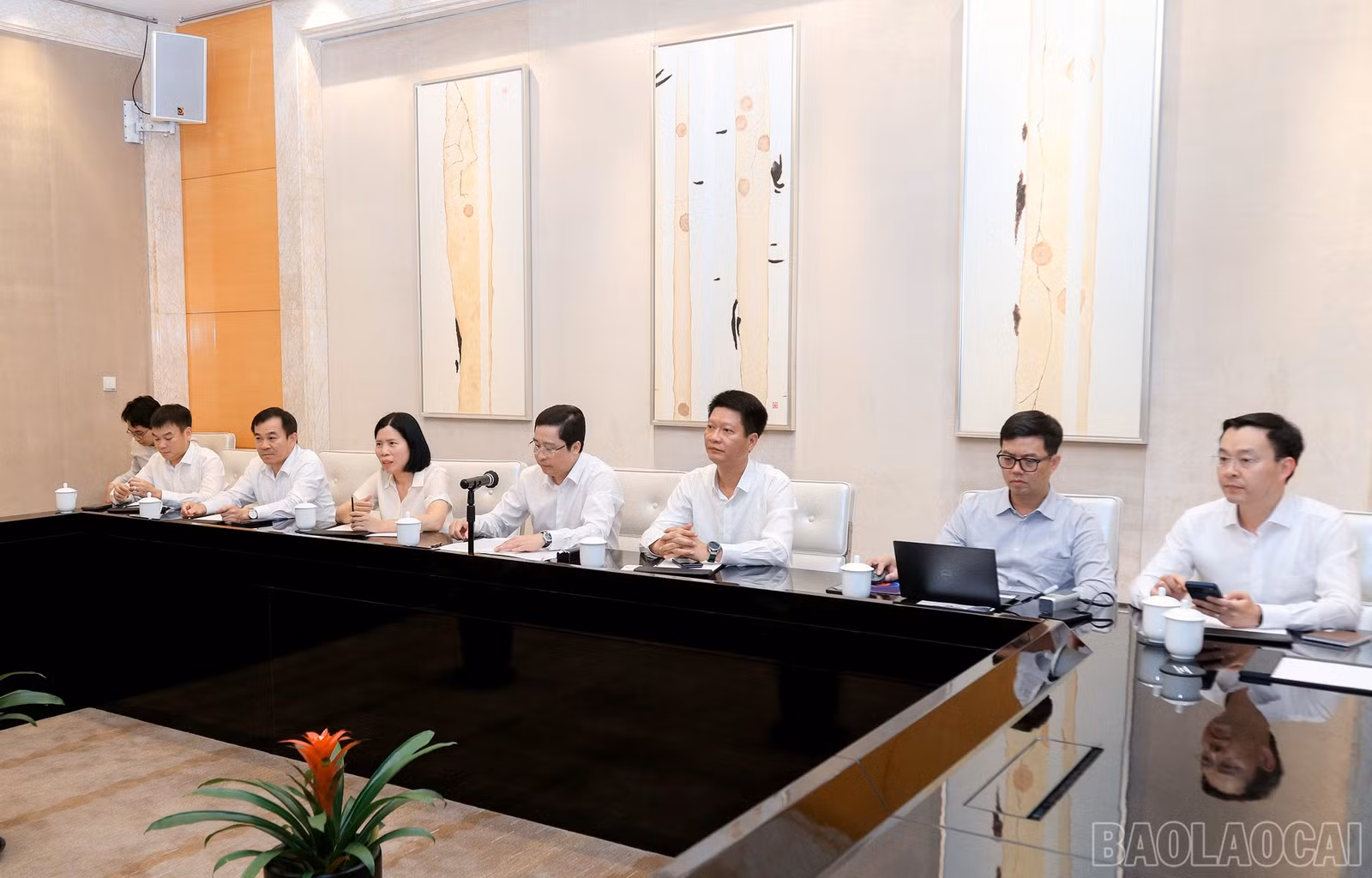 baolaocai-br_7j5a2149.jpg