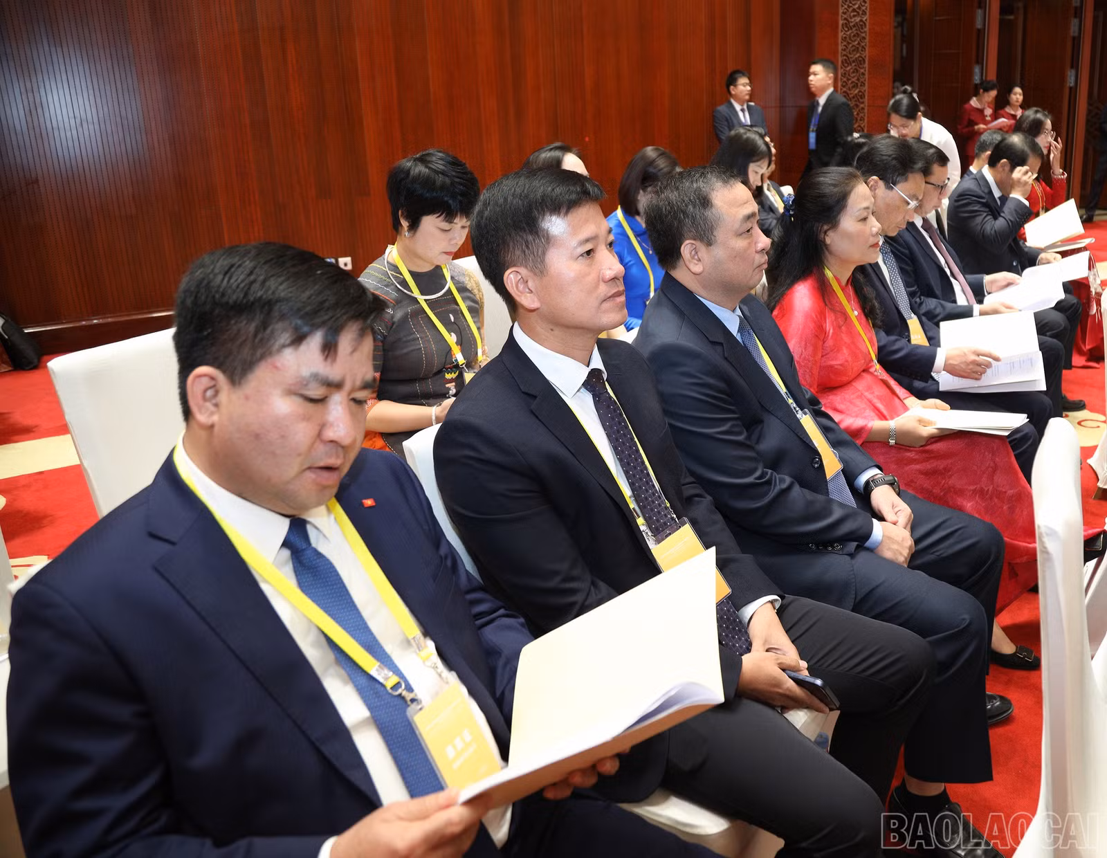 baolaocai-br_7j5a1445.jpg