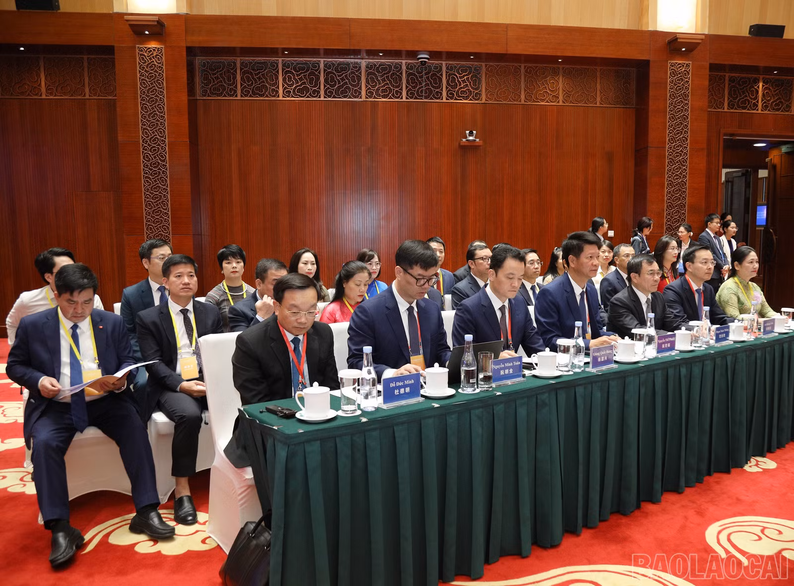 baolaocai-br_7j5a1456.jpg