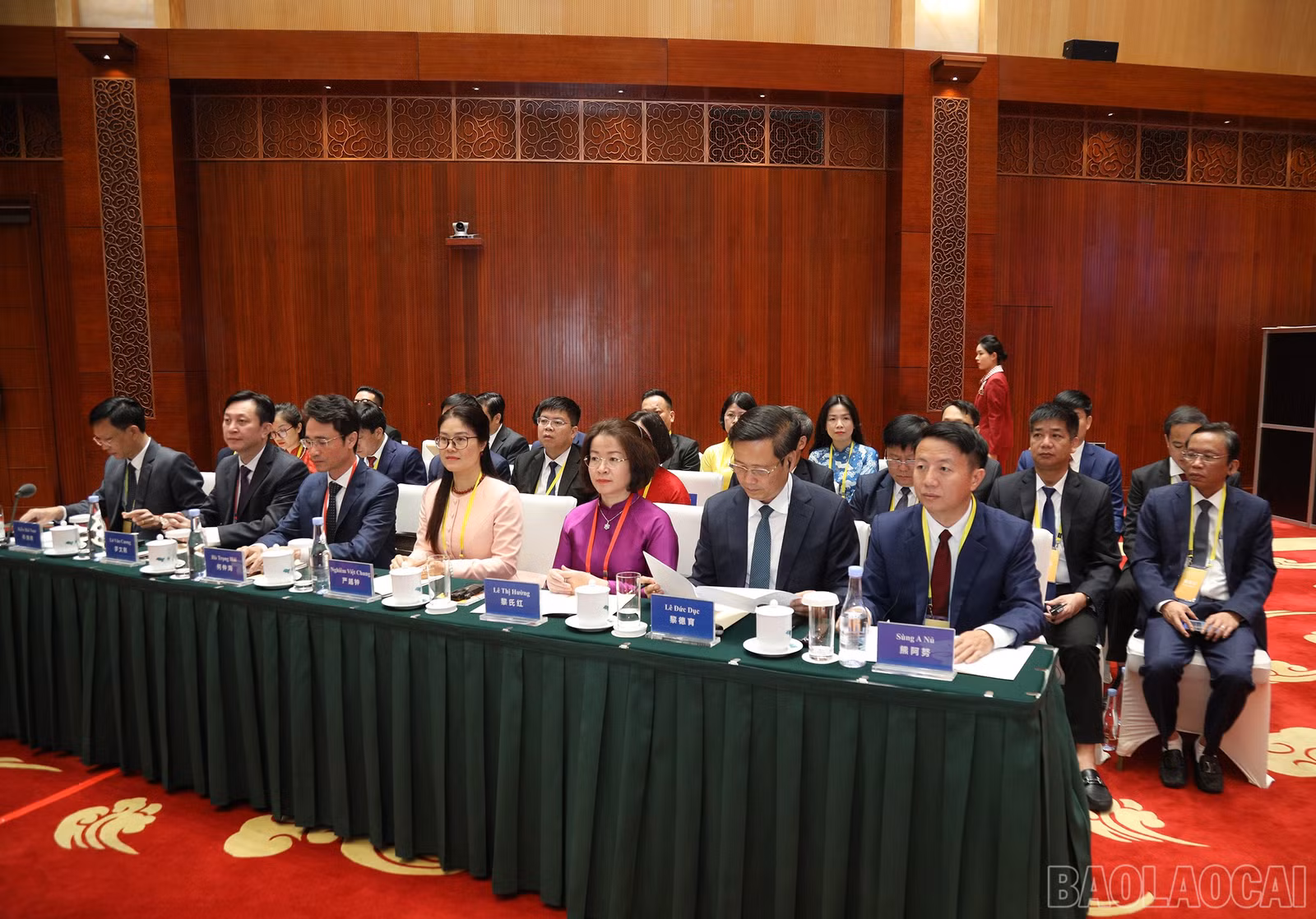 baolaocai-br_7j5a1448.jpg