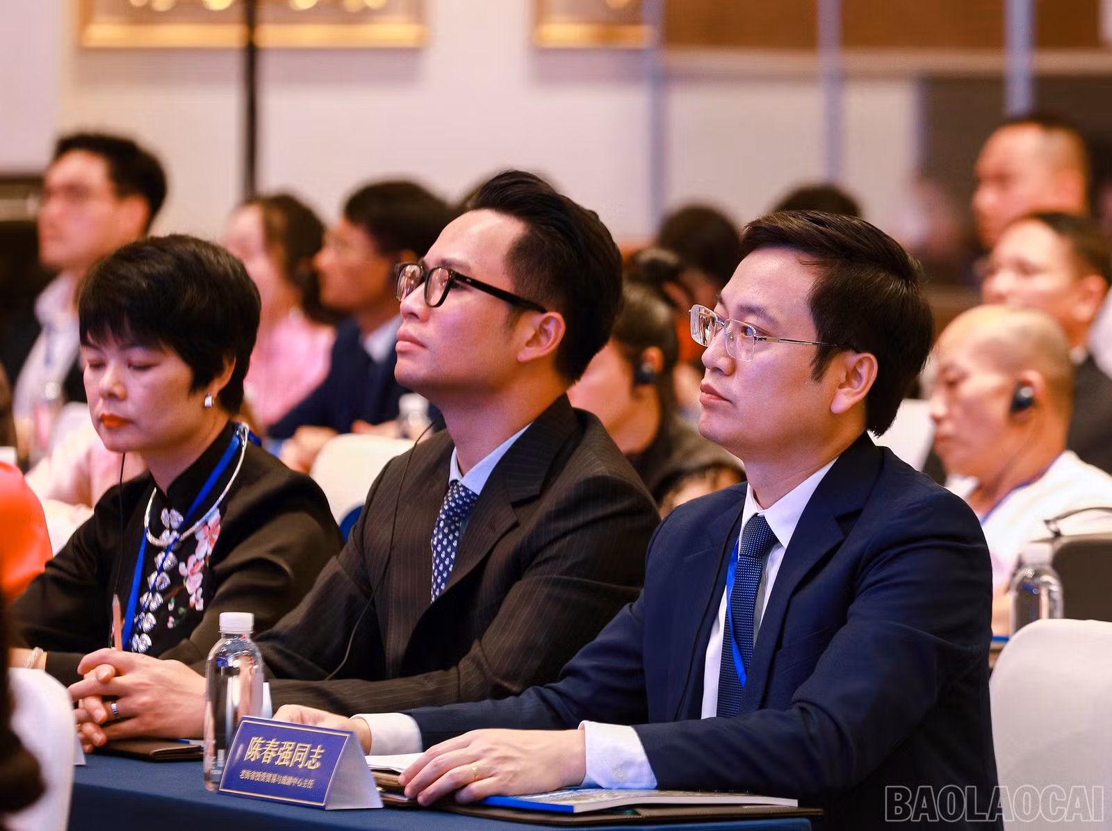baolaocai-br_7j5a0979.jpg