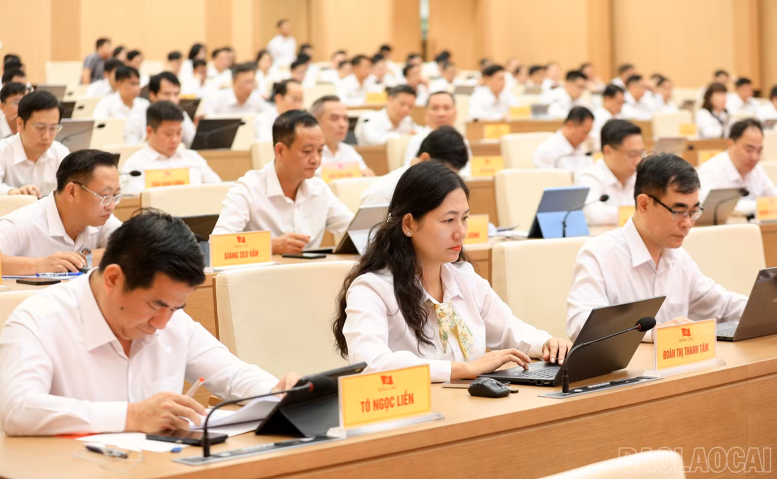 baolaocai-br_7j5a2829.jpg