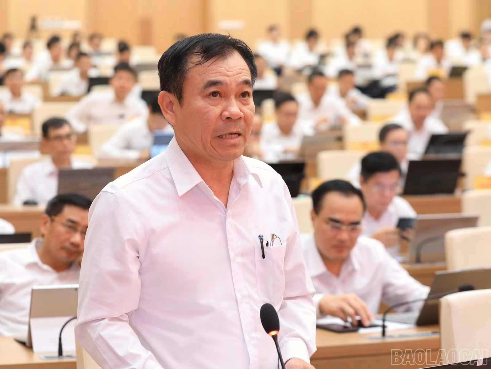 baolaocai-br_7j5a2984.jpg