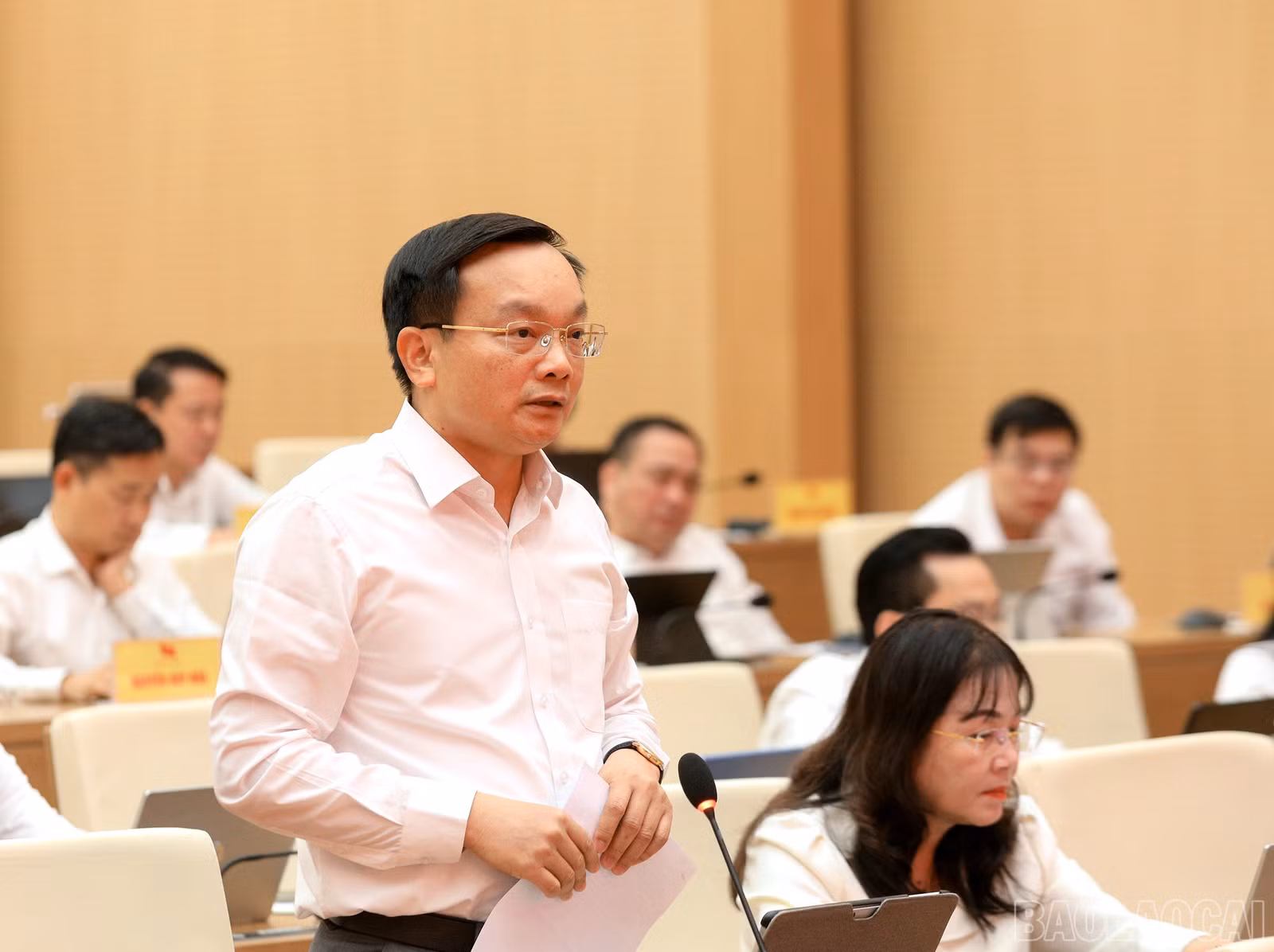 baolaocai-br_7j5a2961.jpg