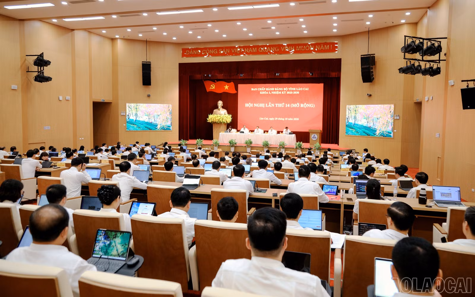 baolaocai-br_7j5a2919.jpg