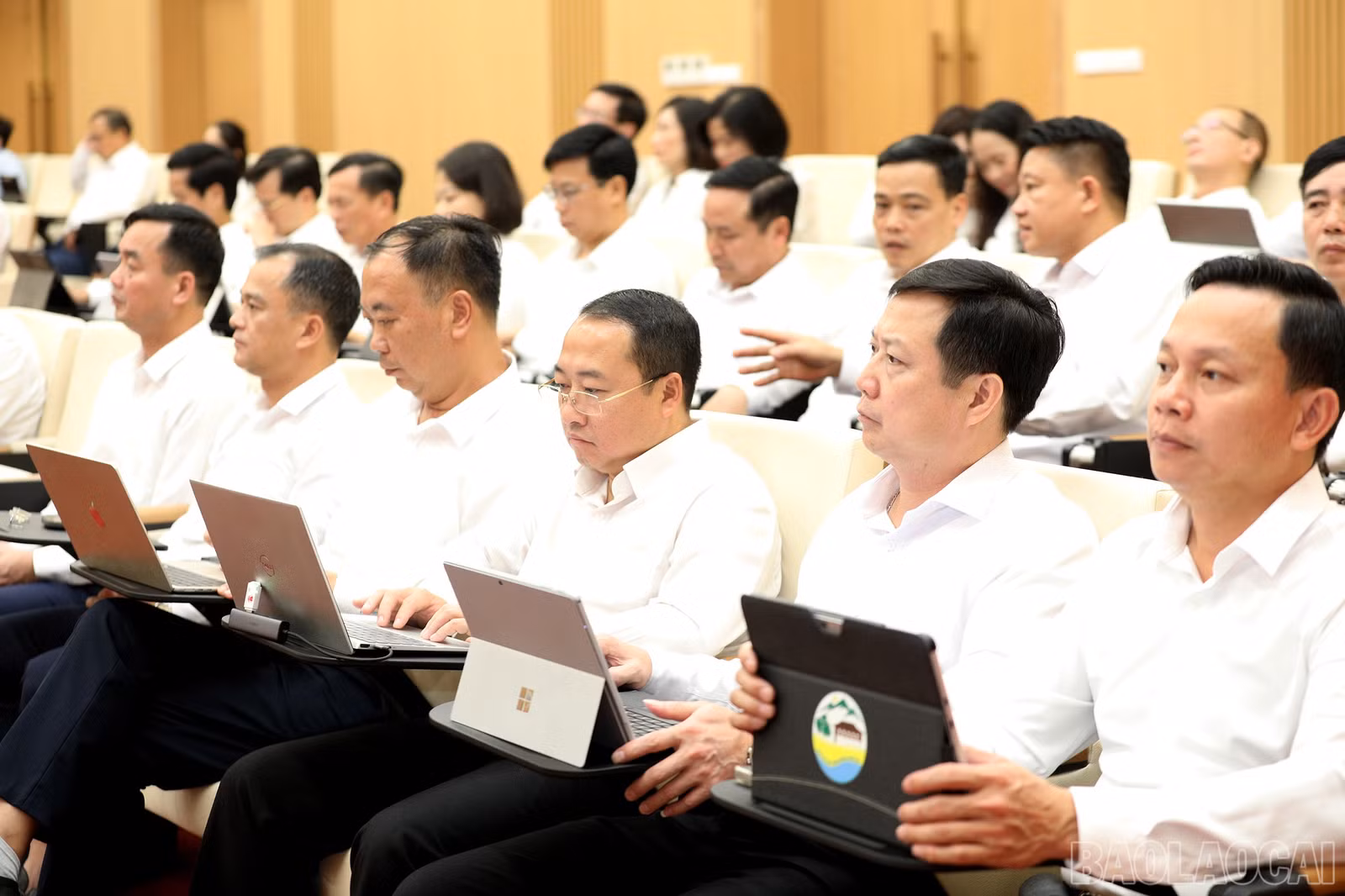 baolaocai-br_7j5a3021.jpg
