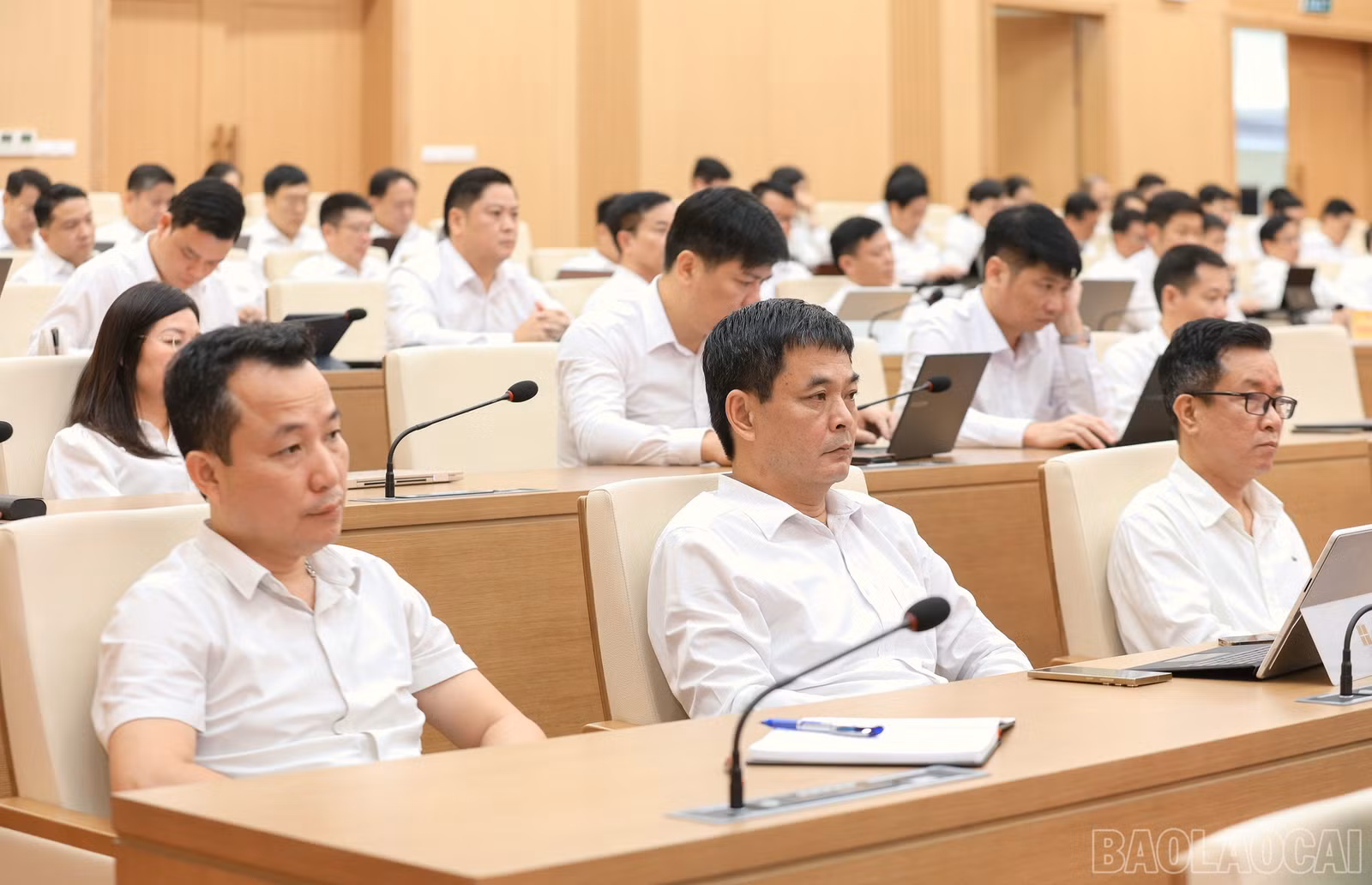 baolaocai-br_7j5a3007.jpg