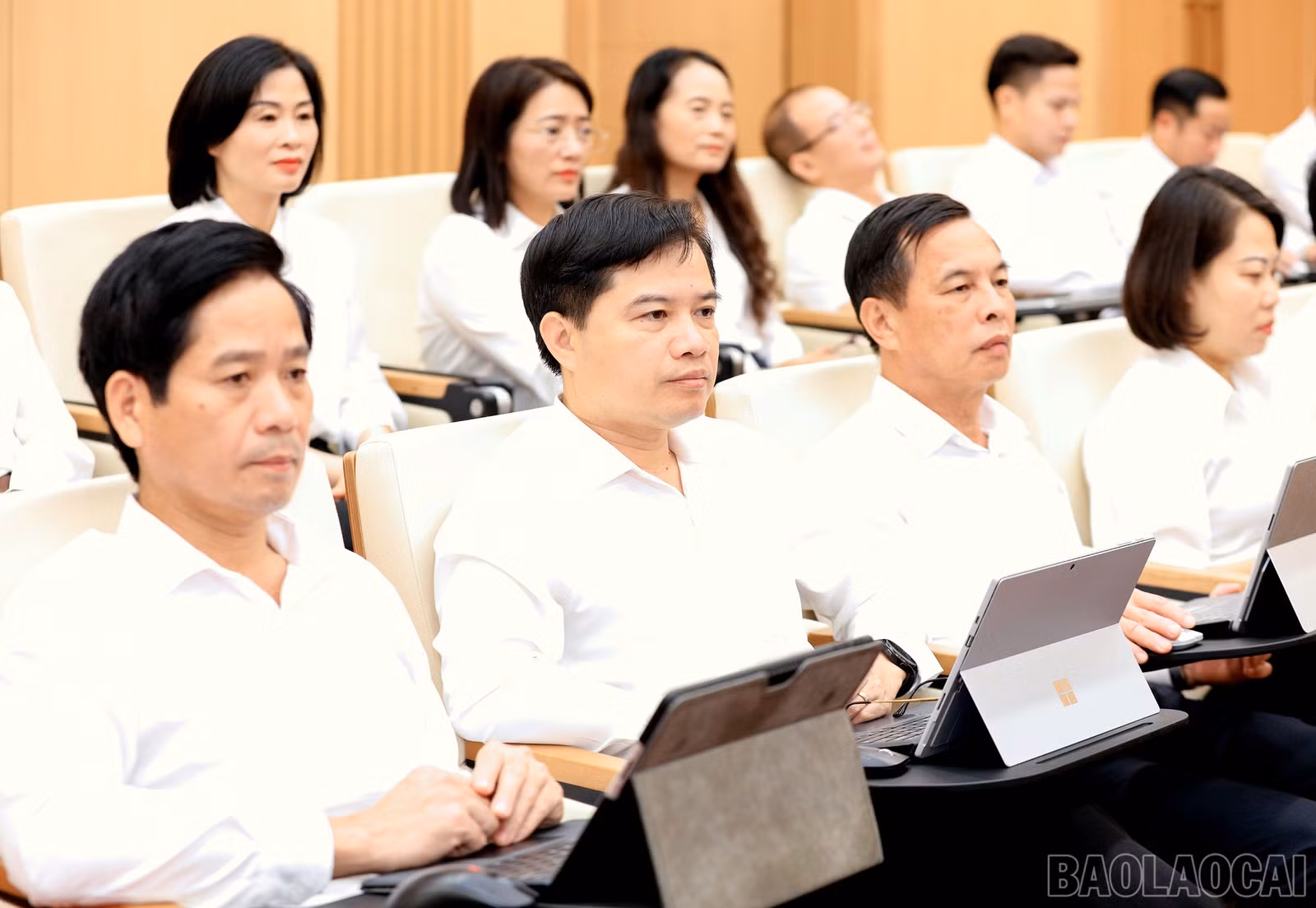 baolaocai-br_7j5a3024.jpg