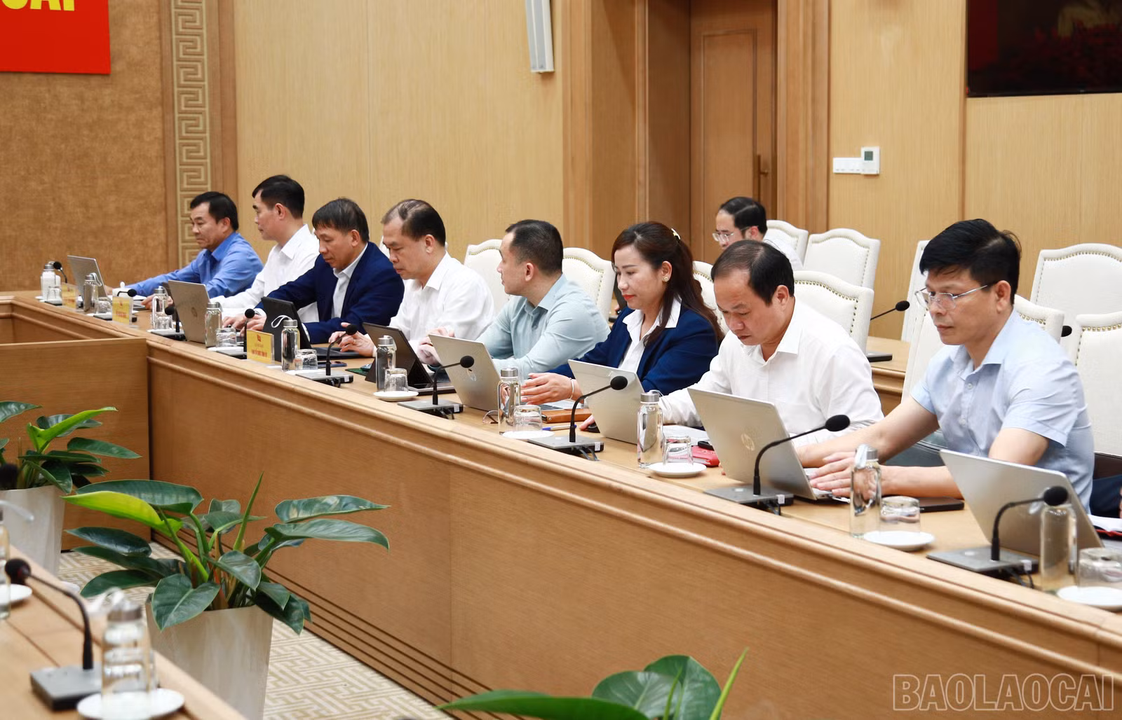baolaocai-br_7j5a7246.jpg
