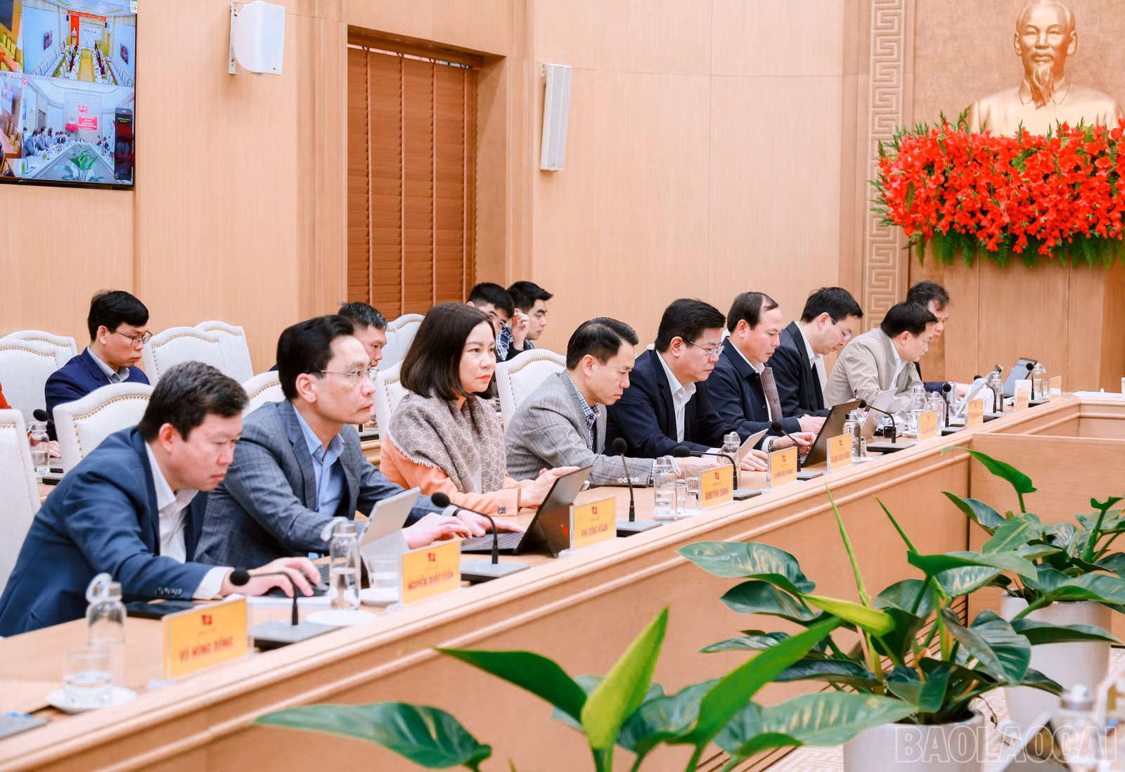 baolaocai-br_7j5a0039.jpg