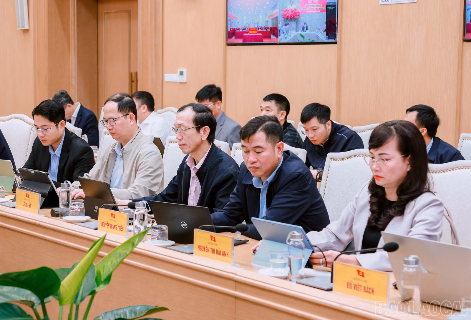 baolaocai-br_7j5a0011.jpg