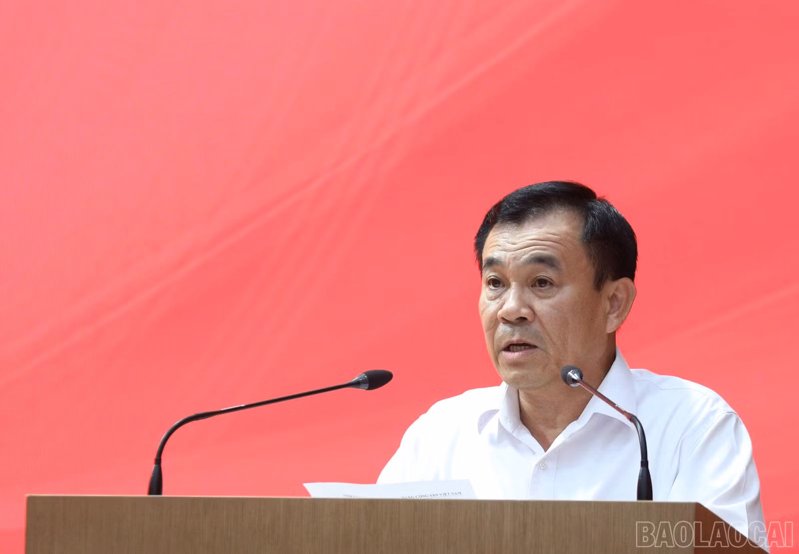 baolaocai-br_7j5a4399.jpg