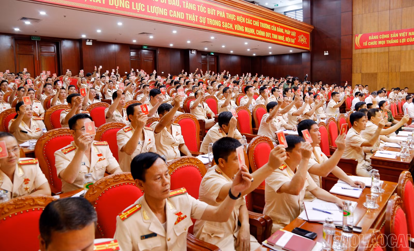 baolaocai-br_mg-6462.jpg