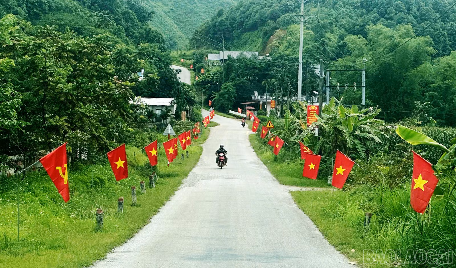 baolaocai-br_z7046055137092-ea63f0b7ad351c74e7d87e32d9c8e082.jpg