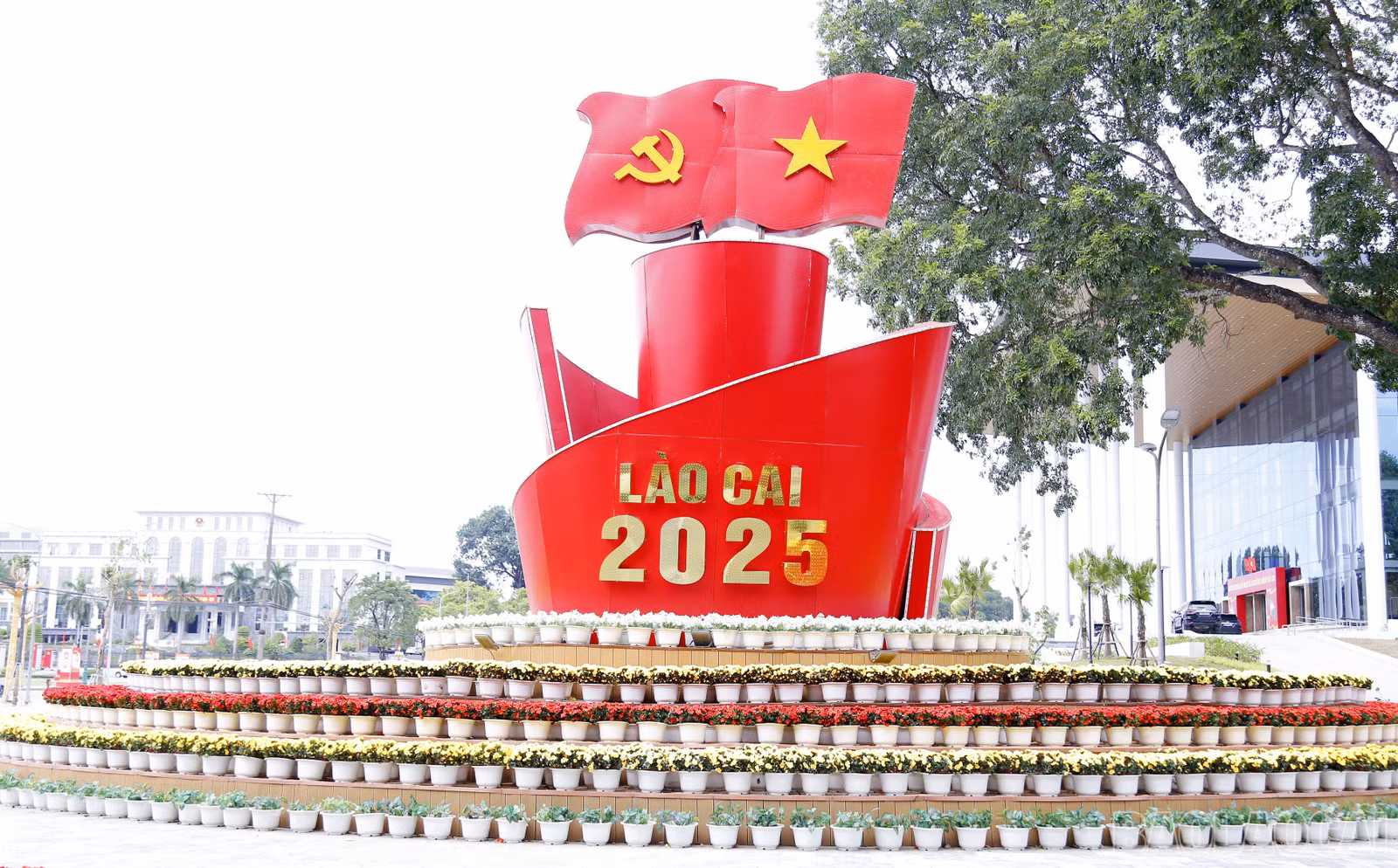 baolaocai-br_mg-7651.jpg