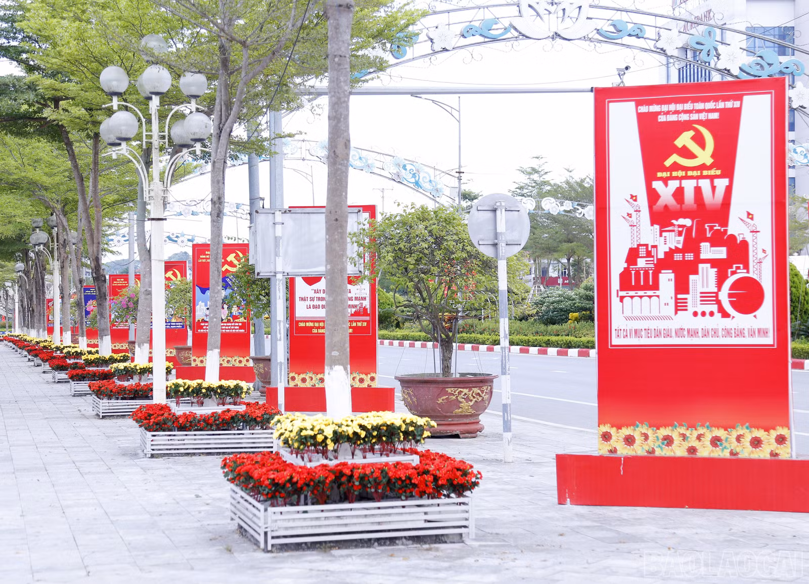 baolaocai-br_mg-7670.jpg