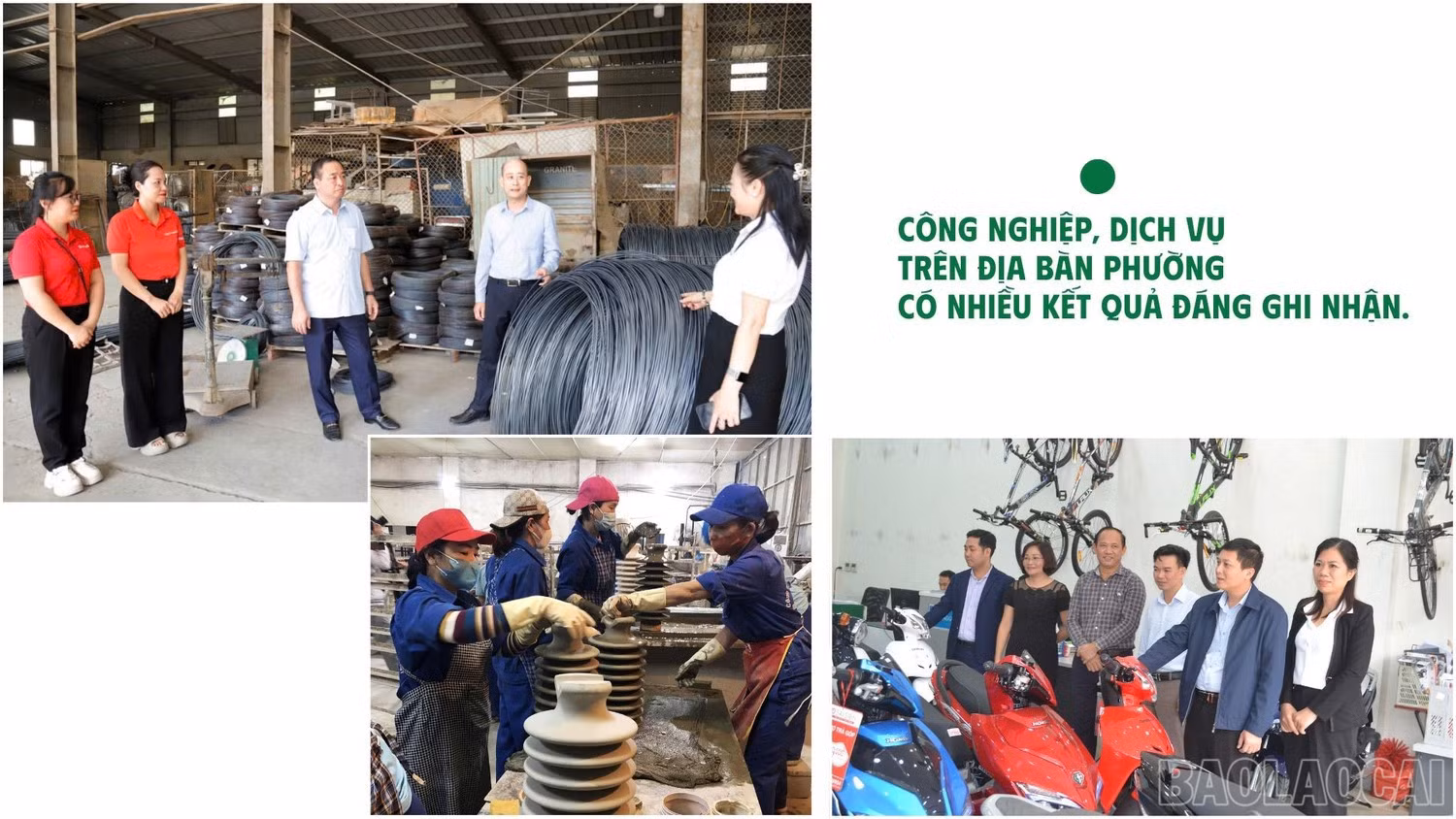 baolaocai-br_anh-4.jpg