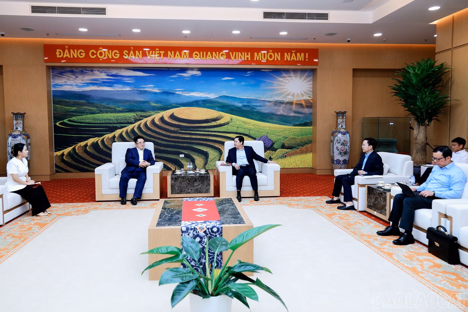 baolaocai-br_7j5a2790.jpg