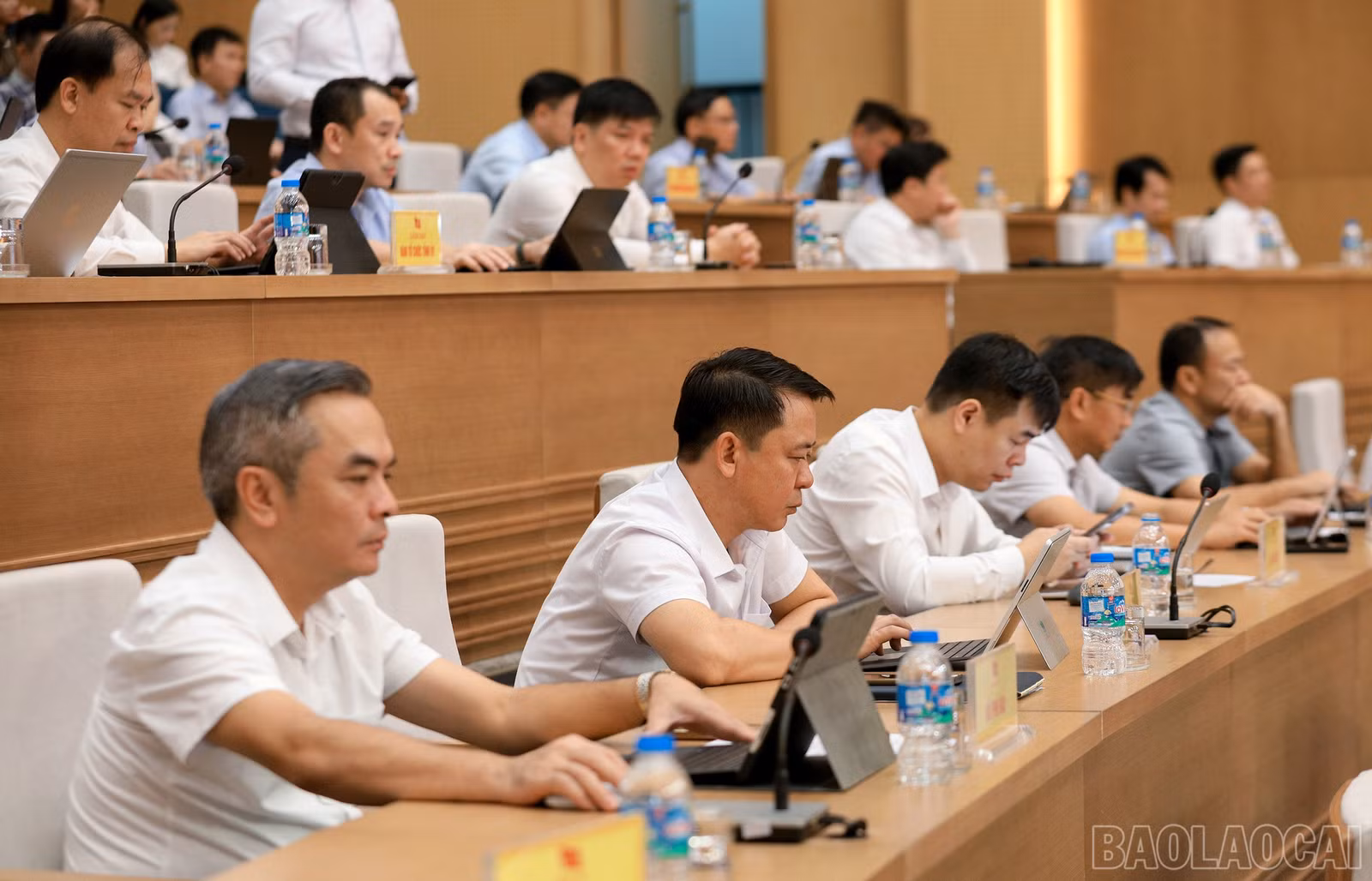 baolaocai-br_7j5a9768.jpg