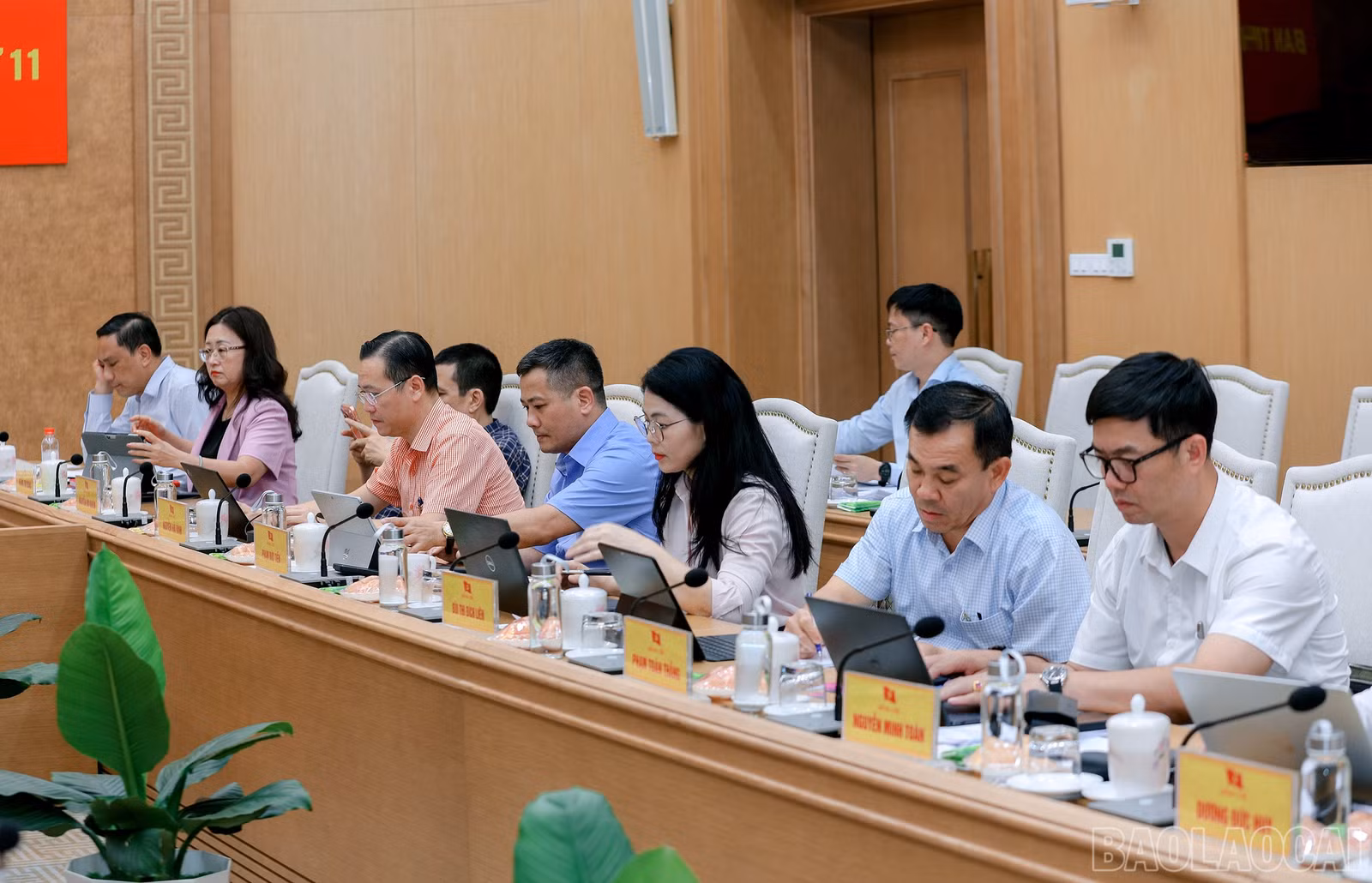 baolaocai-br_7j5a3547.jpg