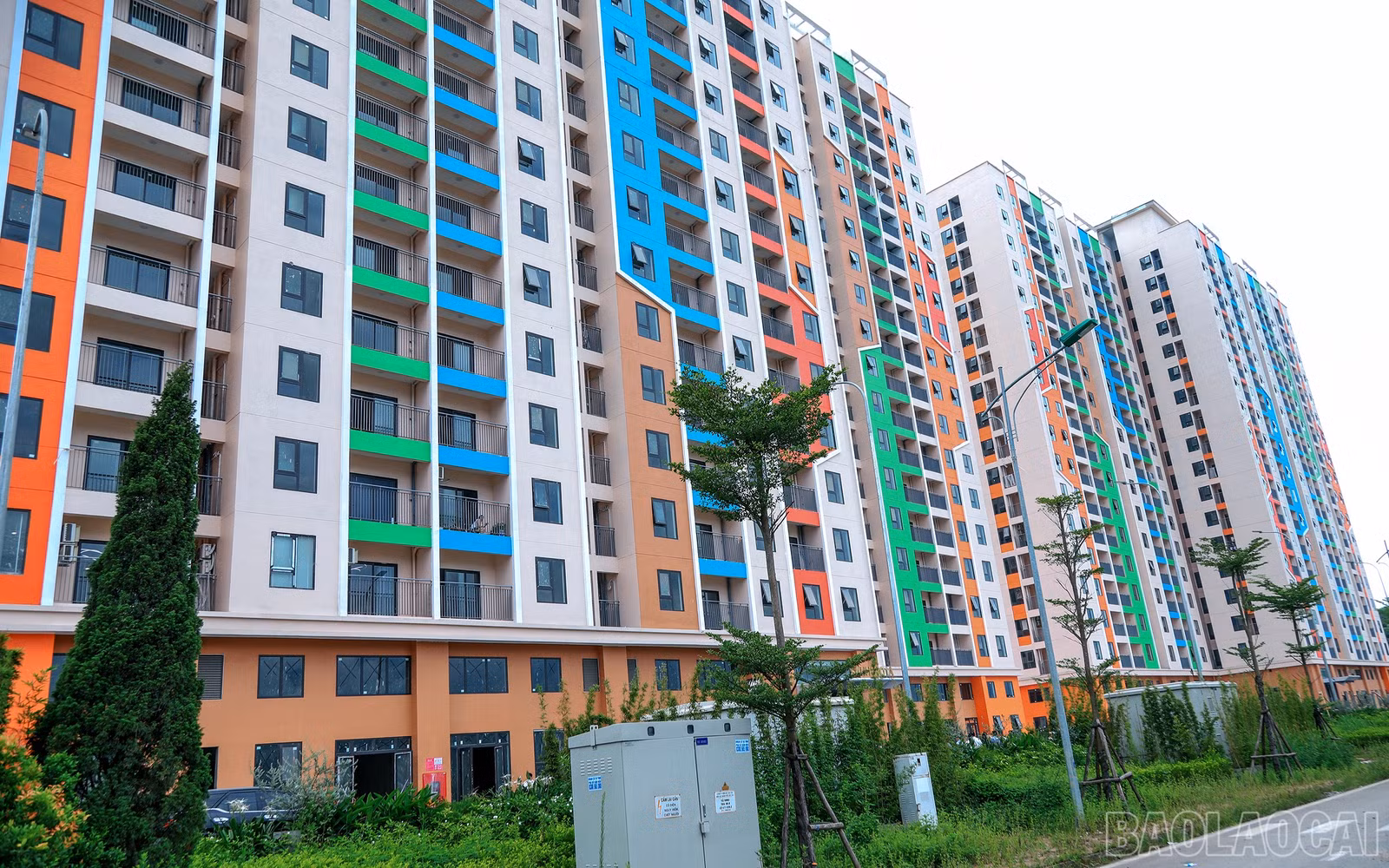 baolaocai-br_7j5a7559.jpg