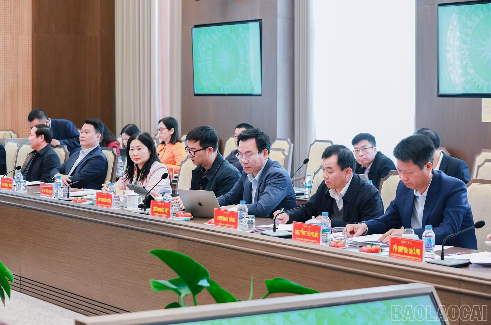 baolaocai-br_7j5a2394.jpg